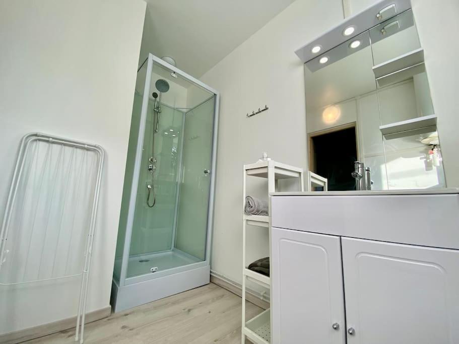 105 Studio Immeuble Perseverance Conflans-en-Jarnisy Kültér fotó